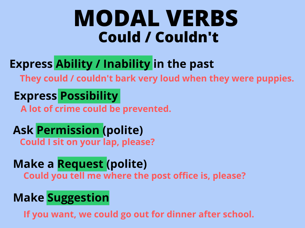 Modal Verbs (Could/Couldn't) Model Verbs (Could/Couldn't)