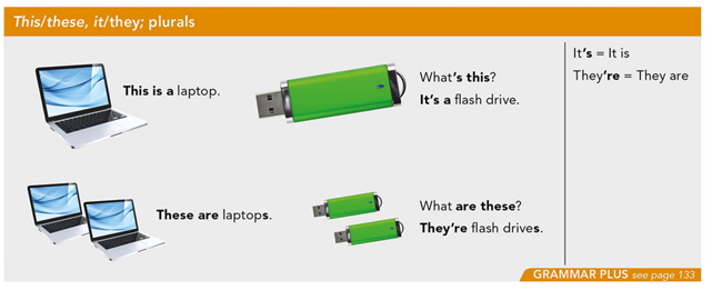 Grammar: this/these; it/they; plurals