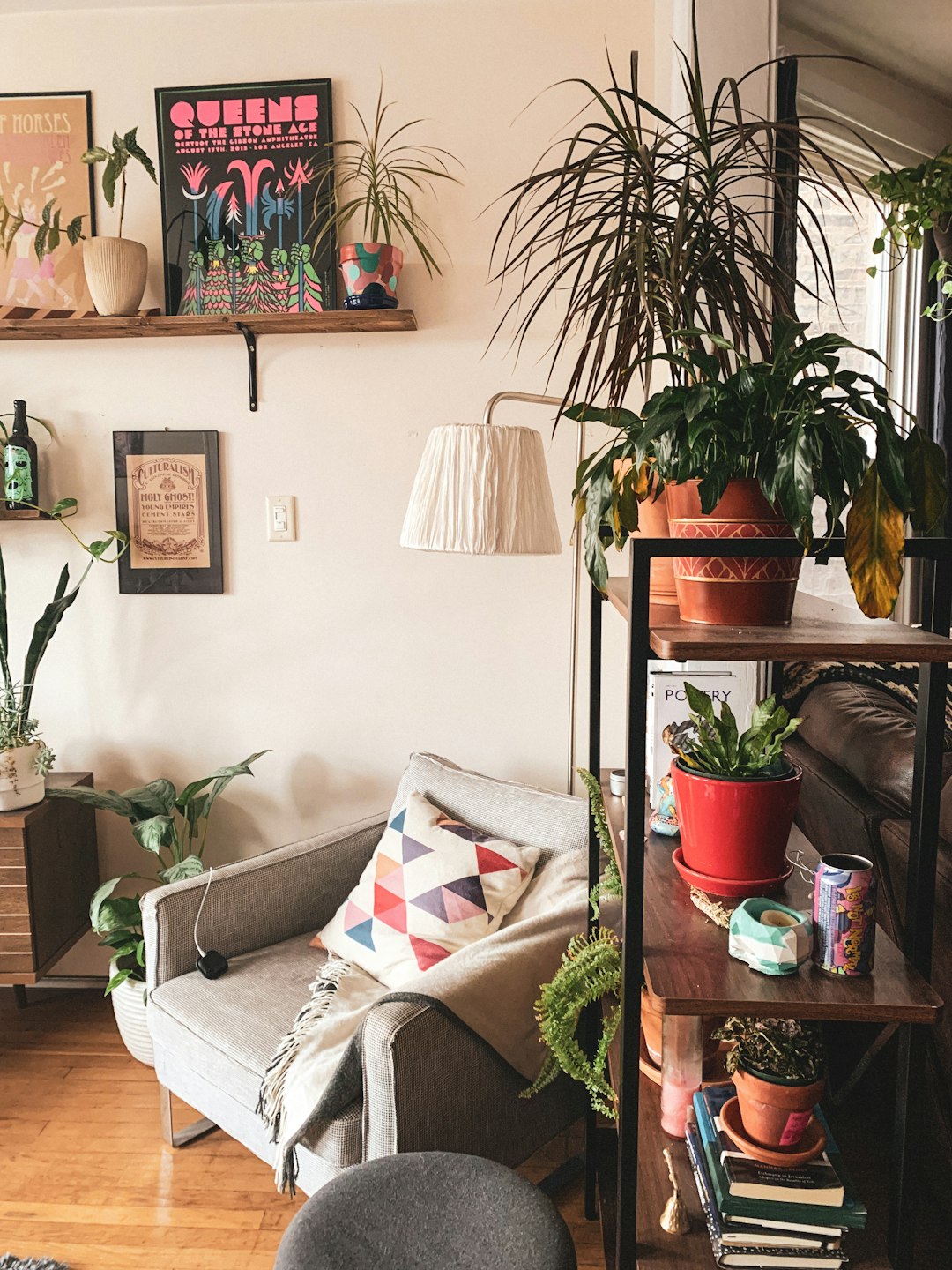 Photo by Kate Darmody green potted plant on brown wooden table